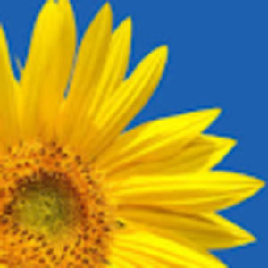 Meet your Posher, Chloe